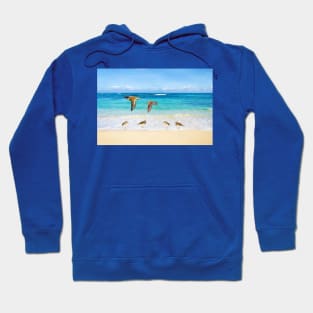 Sandpiper Birds at Ocean Beach Hoodie